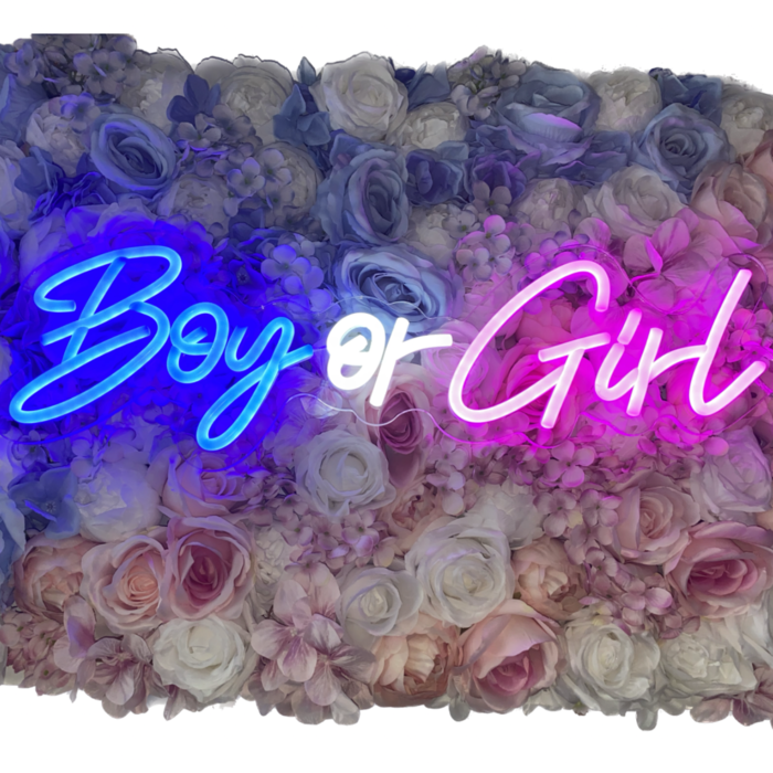 Neonový nápis Boy or Girl :: kvitidecor